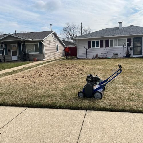 Power rake